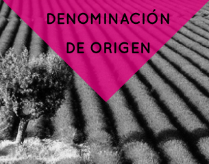 Miel De La Alcarria Enlace DO